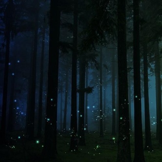 Fireflies sparks