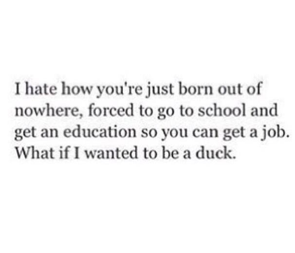 what if i wanted to be a duck
